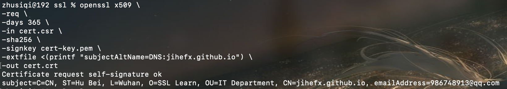 image-20250725115322011